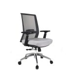 Low Back Chair With Bifma Stards, All Colour- 088-L