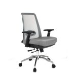 Low Back Chair With Bifma Stards, All Colour- 099-L