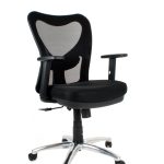 Low Back Chair With Bifma Stards, All Colour  Available- 998-LB