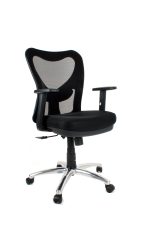 Low Back Chair With Bifma Stards, All Colour  Available- 998-LB