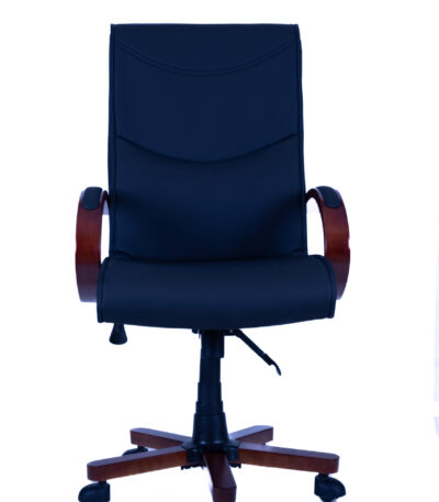 Alba Highback Executive Office Chair – Ergonomic High Back Chair UAE | Flamingo Furniture